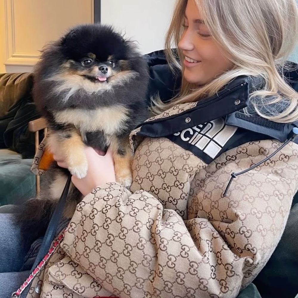 The North Face X Gucci Puffer Jacket